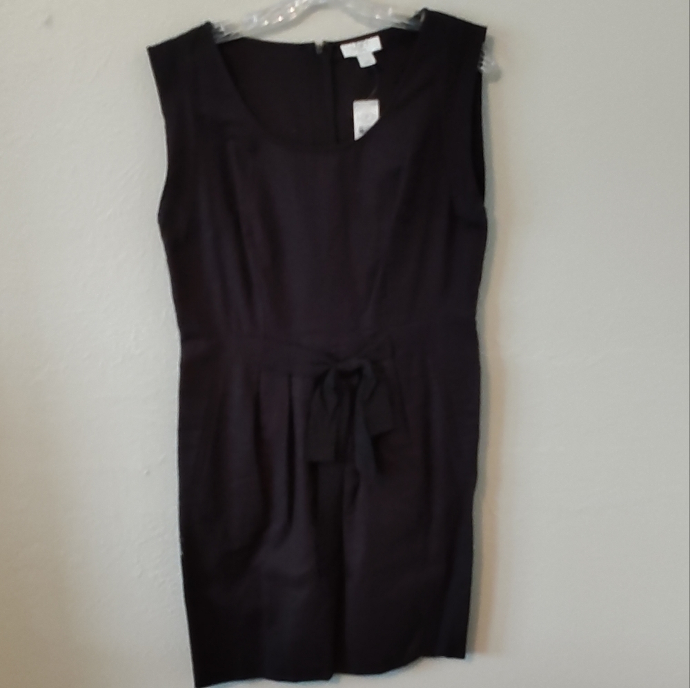 Loft Petite Linen Belted Dress NEW Size 10p